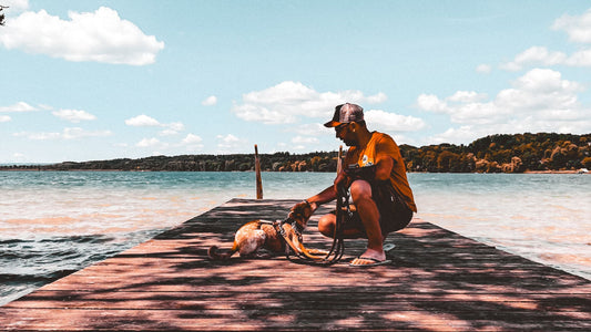 camping mit hund pilsensee bayern
