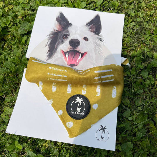 Tail & Tropic Hundehalstuch Bandana ASAHI für Camping mit Hund / Outdoor