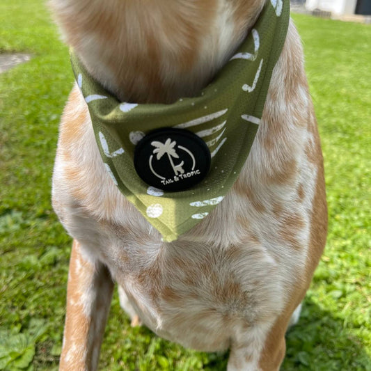 Tail & Tropic Bandana Hundehalstuch für Camping und Outdoor