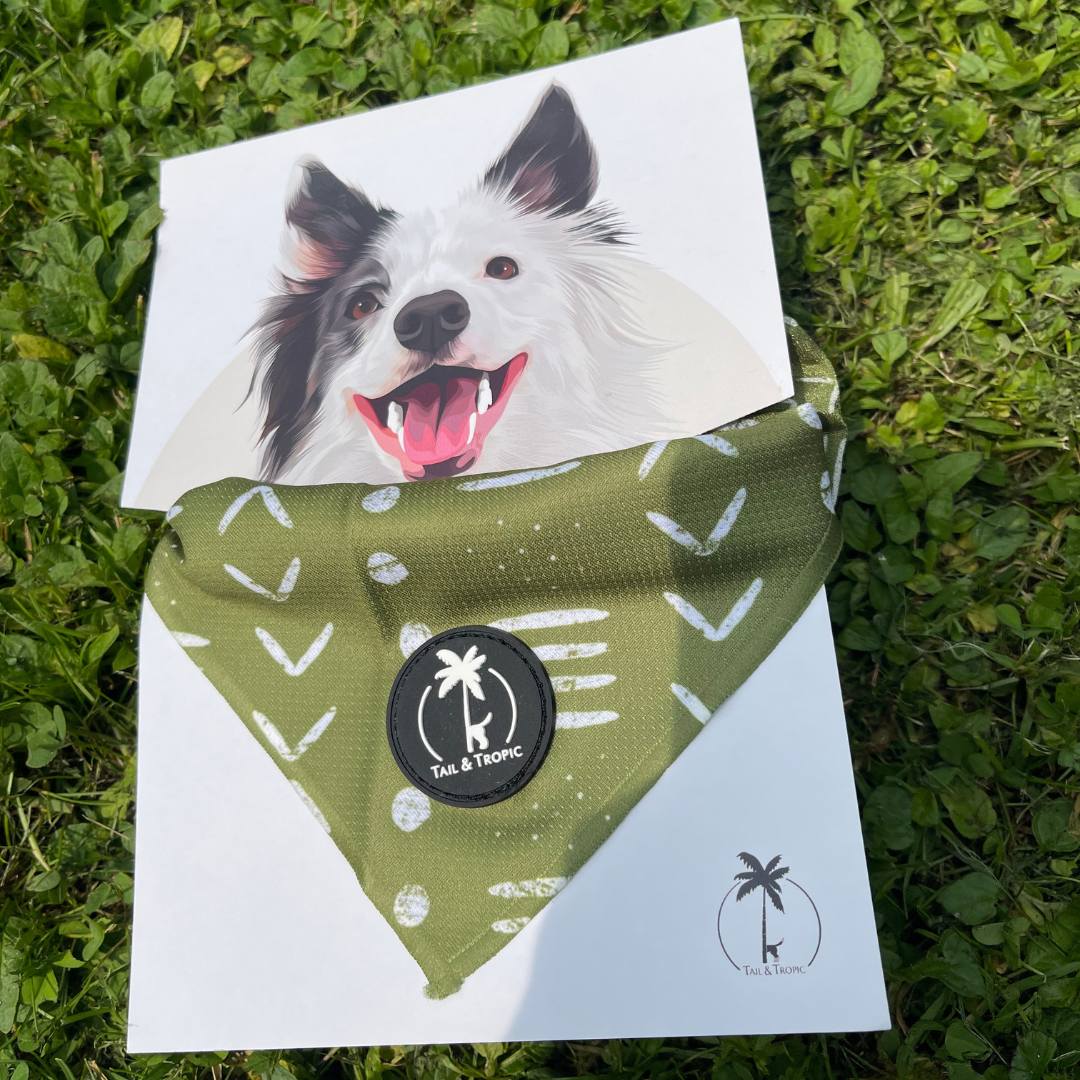 Tail & Tropic Bandana Hundehalstuch für Camping und Outdoor