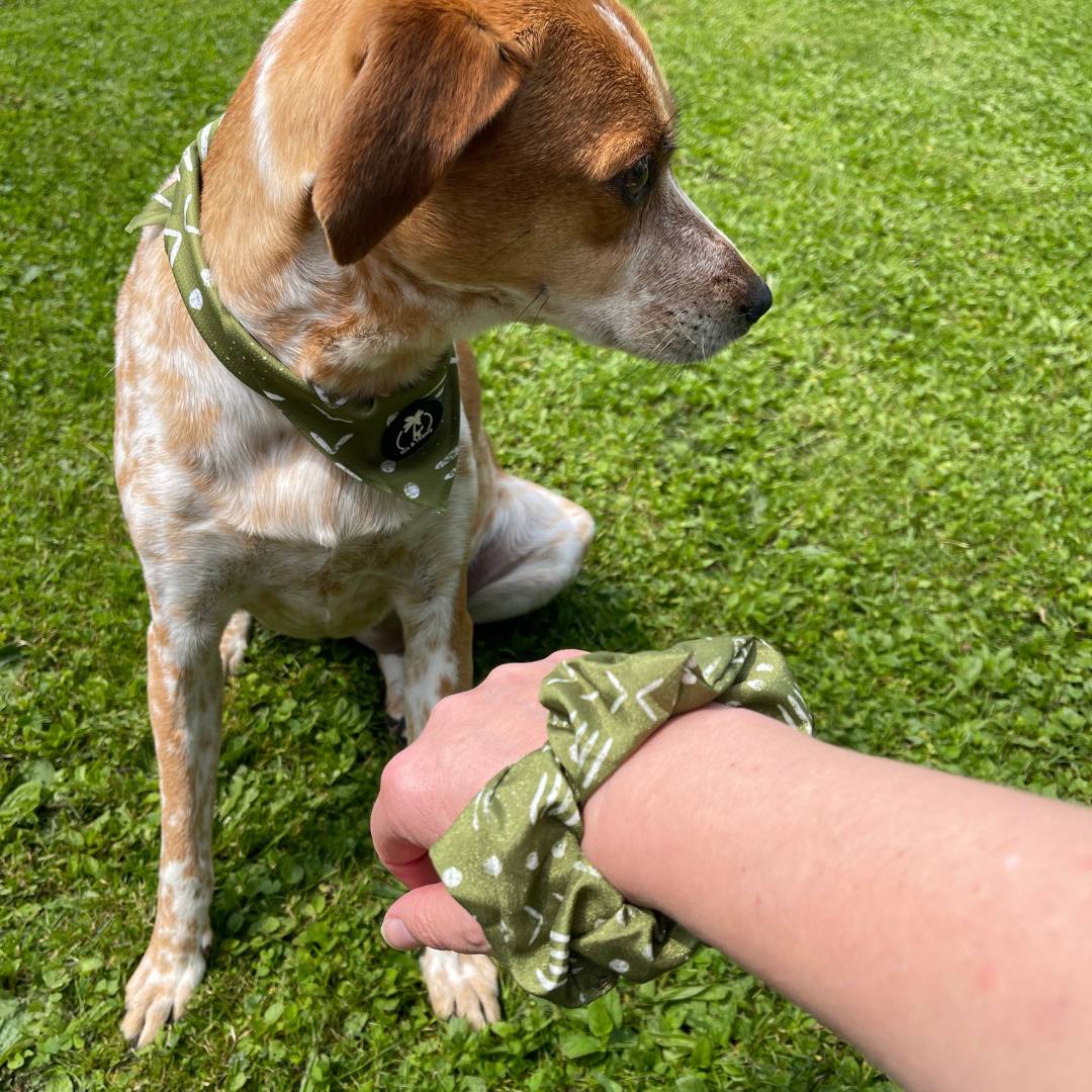Tail & Tropic Bandana Hundehalstuch für Camping und Outdoor