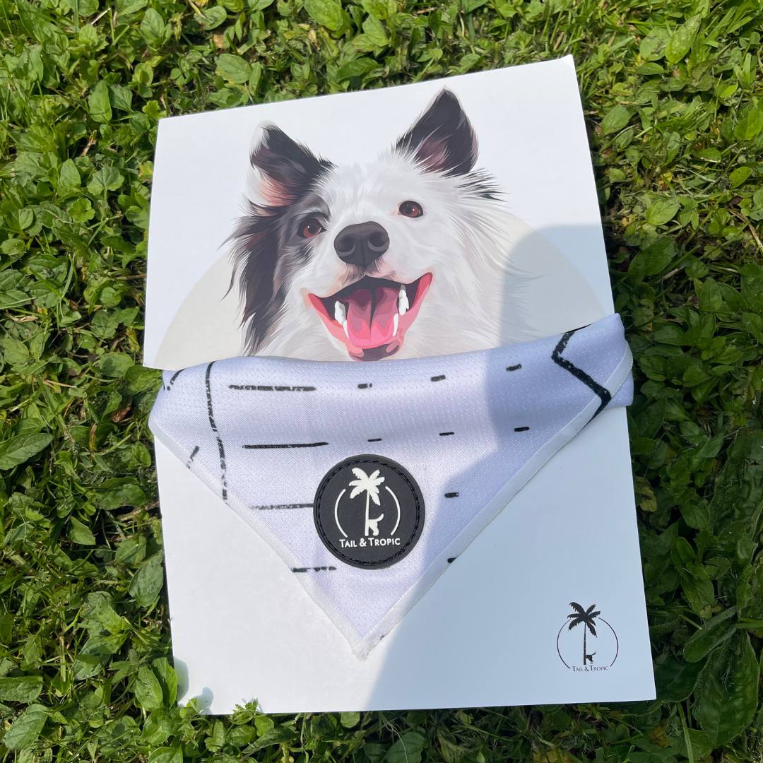 tails and tropic outdoor bandana