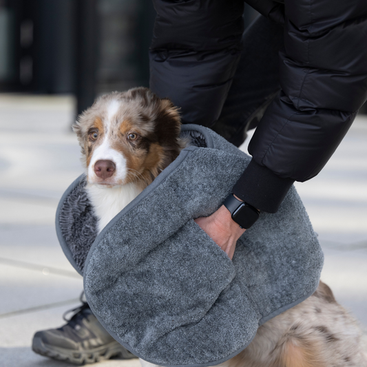Nasser Hund wird mit dem Ultra Dry Comfort Hundehandtuch abgetrocknet