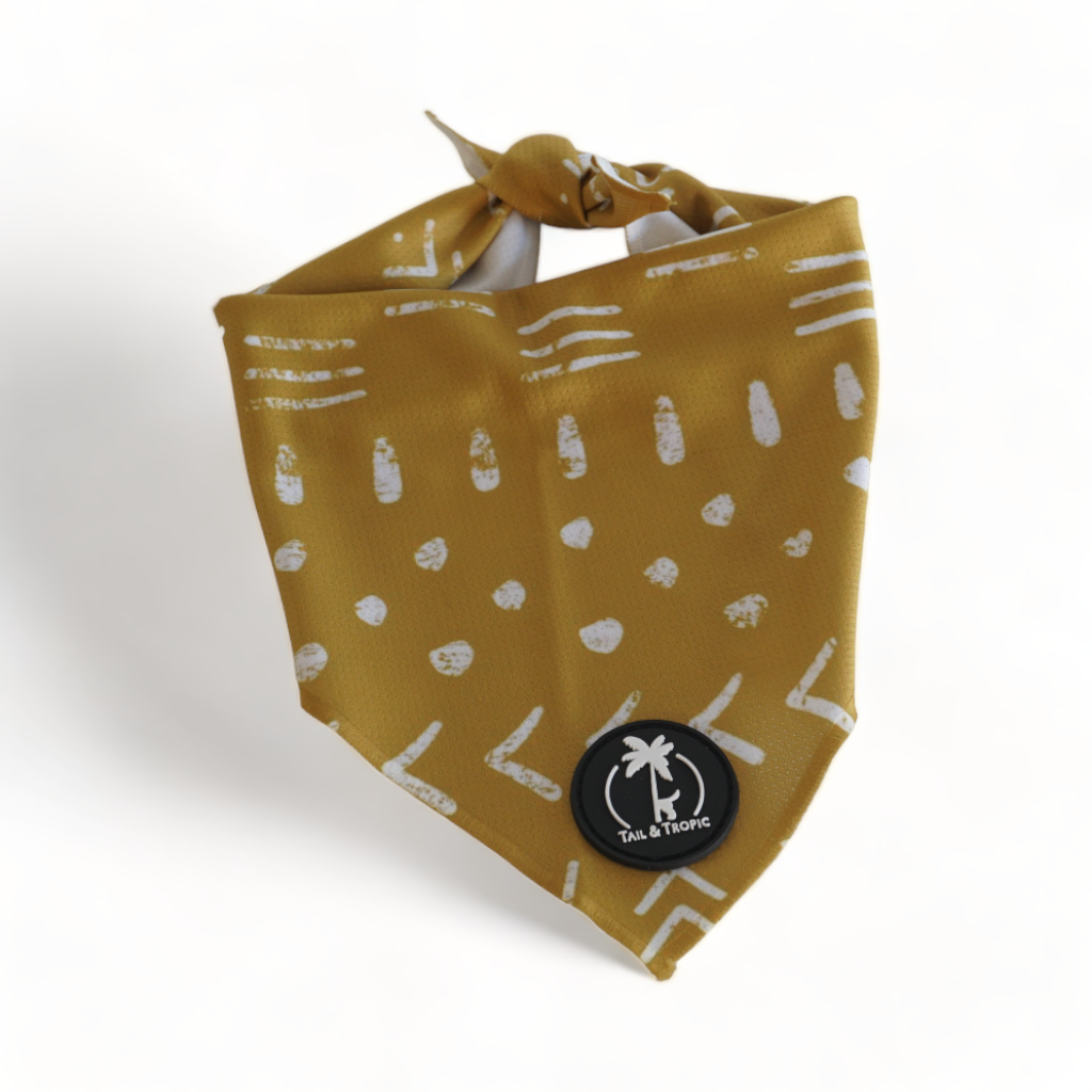 Produktbild hund bandana