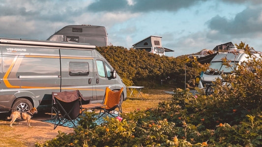 kastenwagen campingplatz Vejers Dänemark mit hund