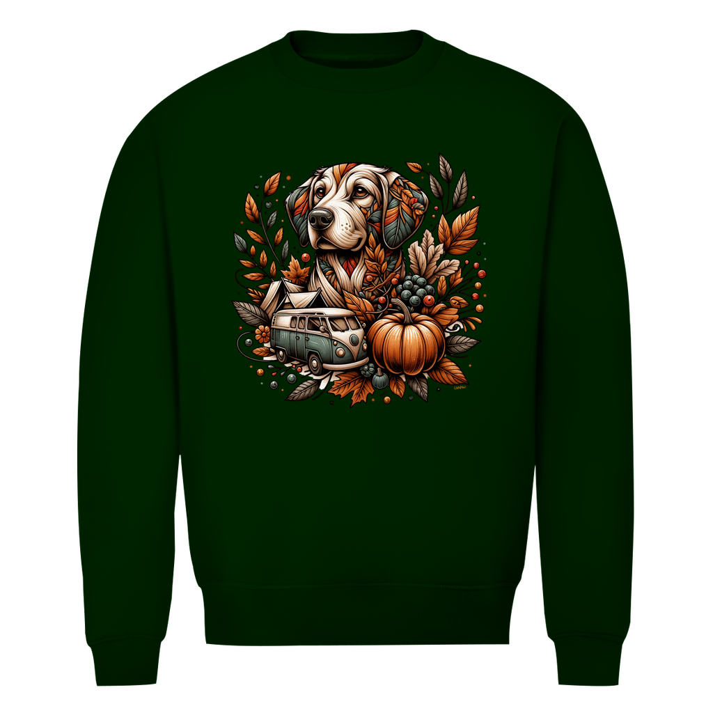 sweater herbstlich hund camping