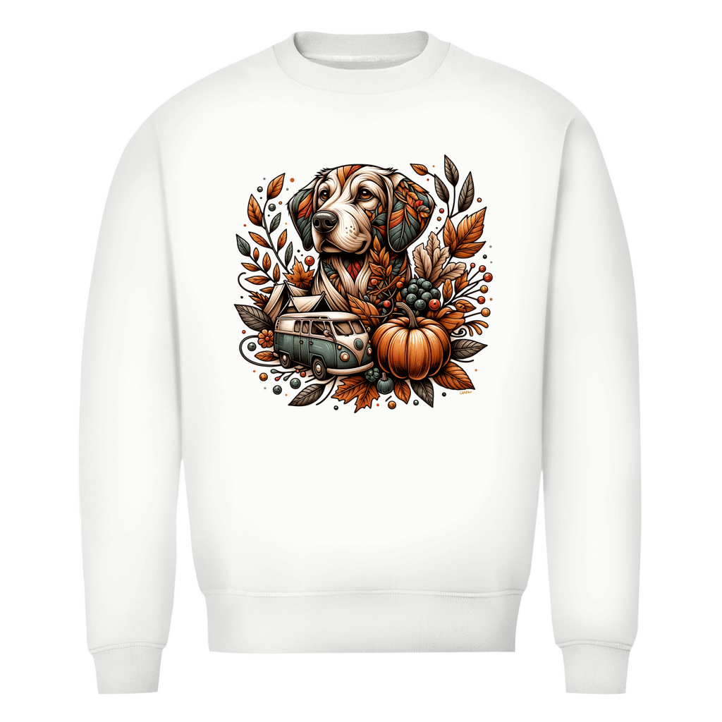 helles herbstliches sweatshirt print hund camping
