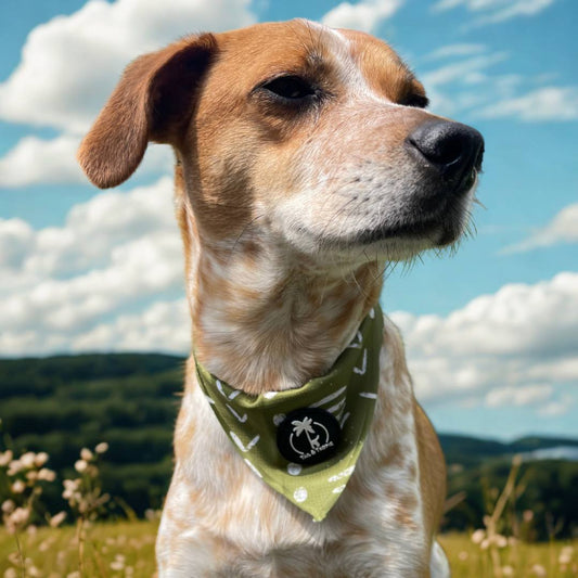 Tail & Tropic Bandana Hundehalstuch für Camping und Outdoor