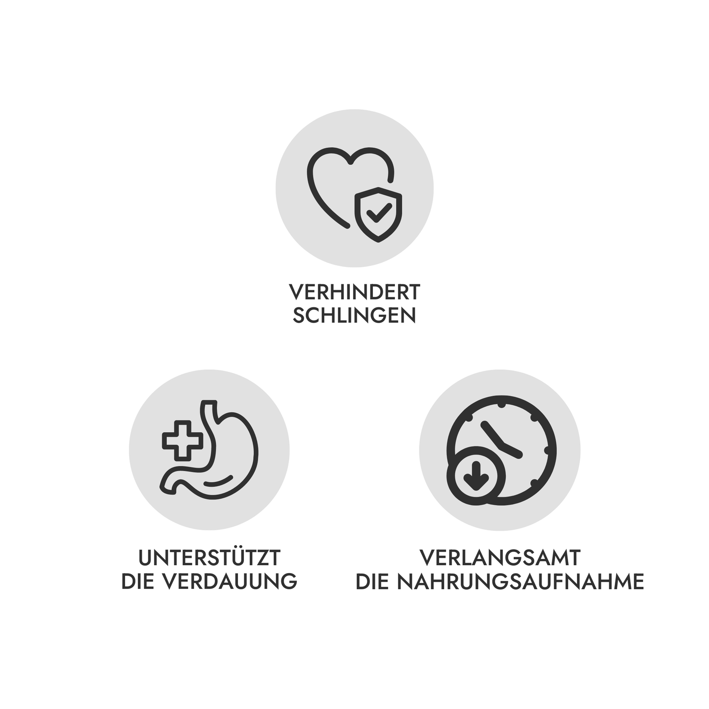 camping-hund-slowfeeder-Details