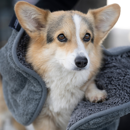 Hund liegt eingewickelt im flauschigen Ultra Dry Comfort Hundehandtuch in Graphit
