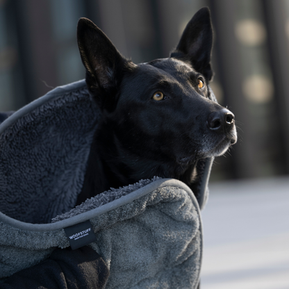 Dunkler Hund wird mit dem saugfähigen Hundehandtuch aus Mikrofaser abgetrocknet
